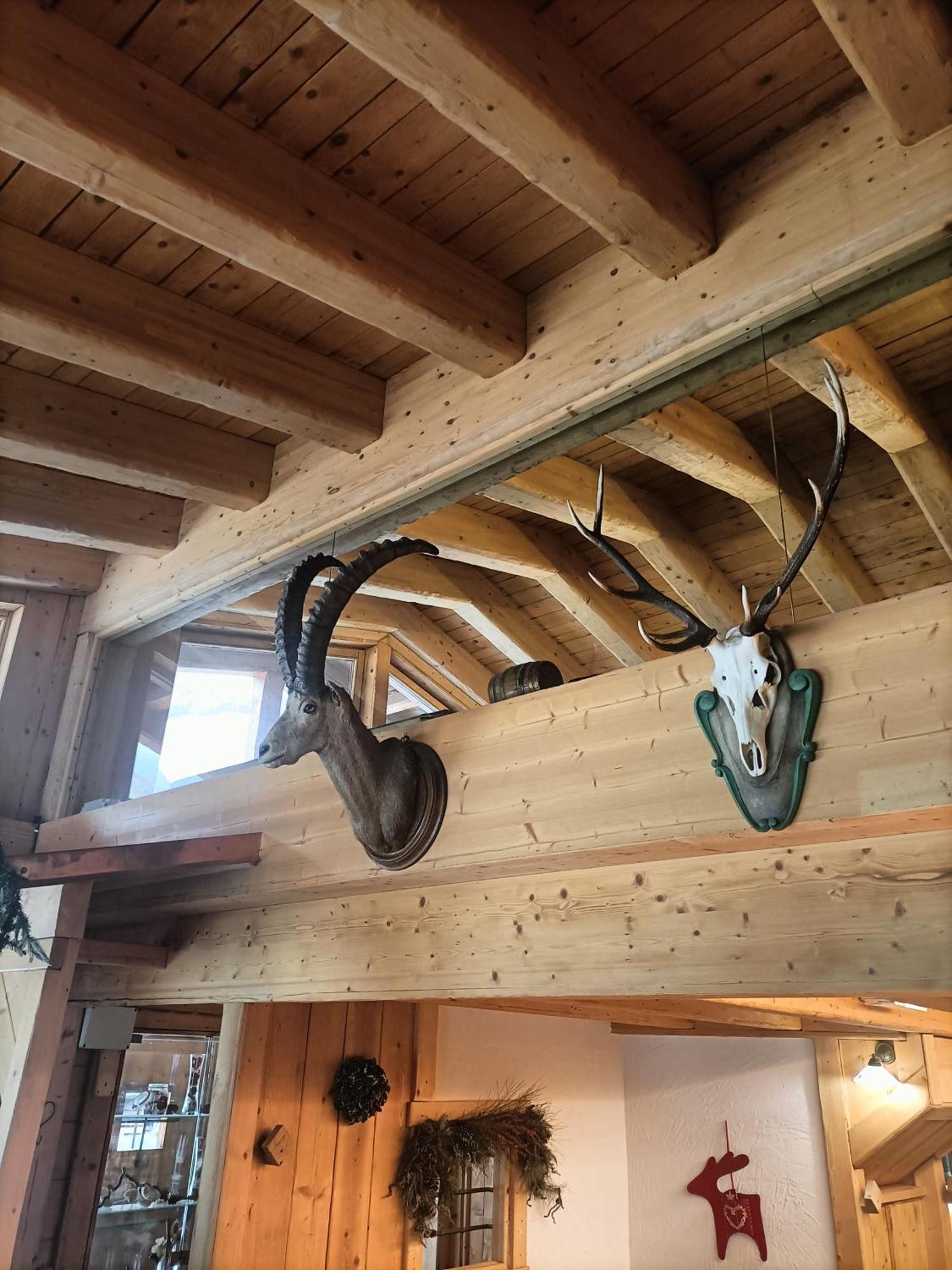 Chalet 1400 Nuova Gestione Limone Piemonte Exterior photo